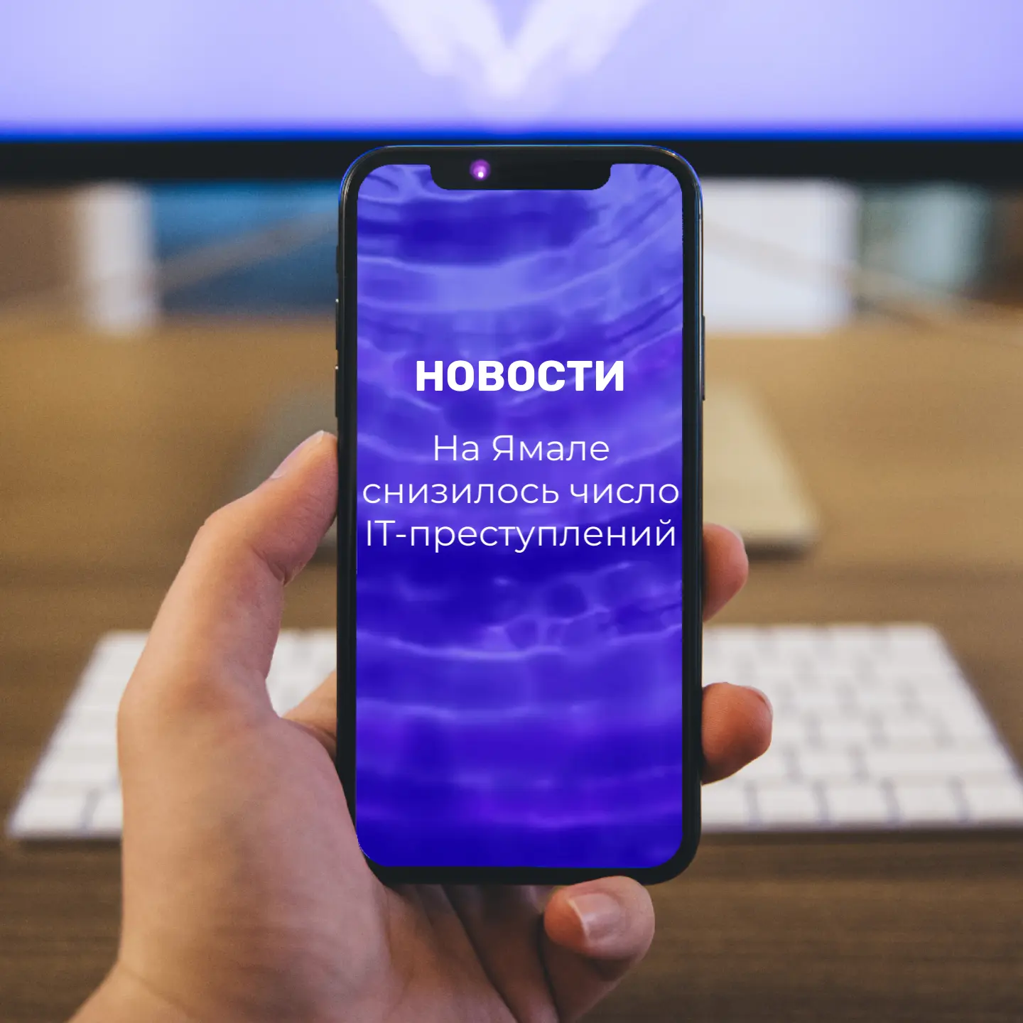 Число IT-преступлений на Ямале снизилось на треть. В первом квартале этого года зафикси...