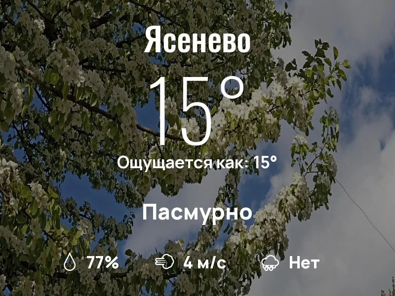 Что с погодой в Ясенево?