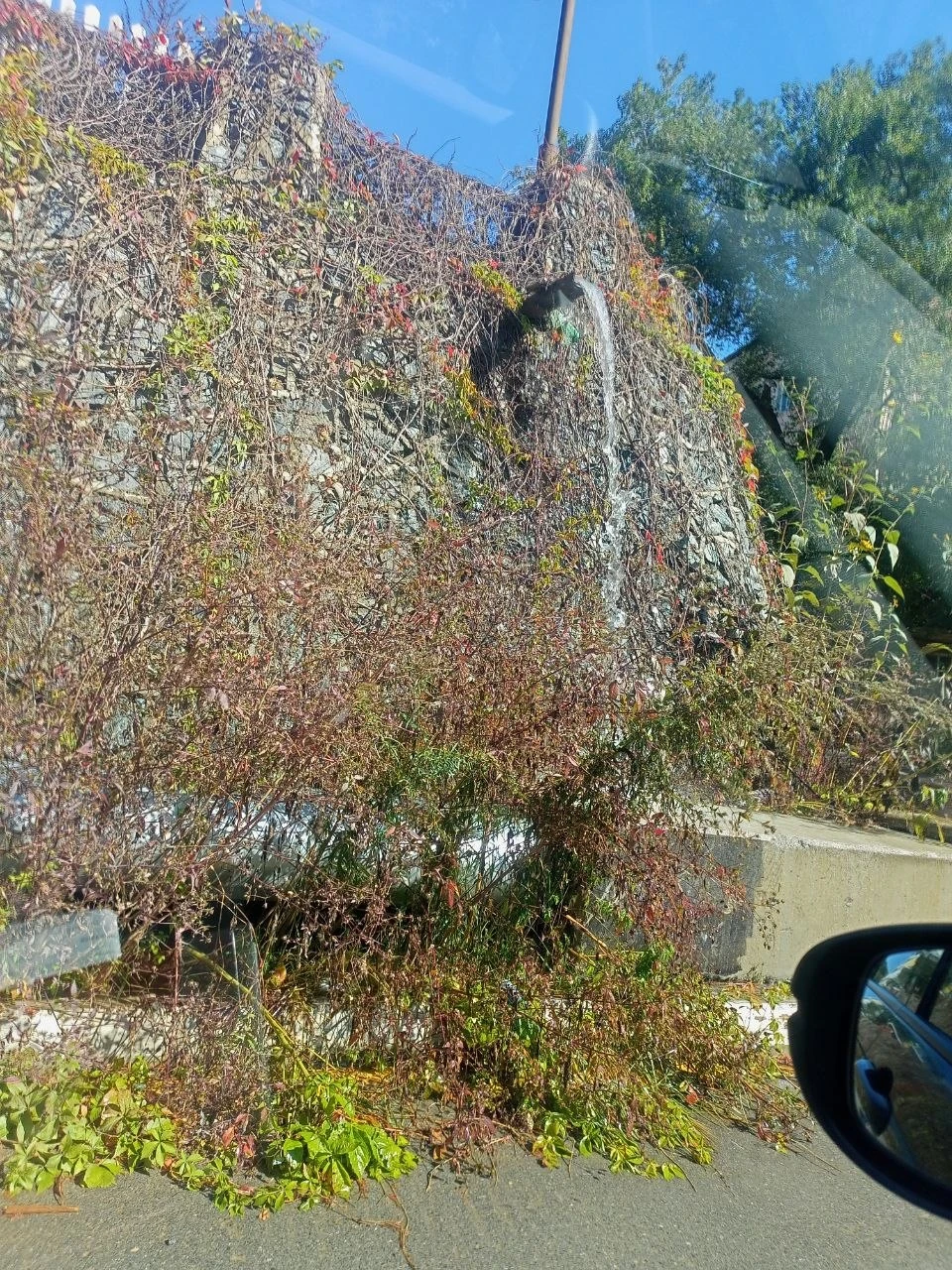 Китайская закусочная продолжает поливать склон и дорогу в Находке. Жители опасаются, чт...
