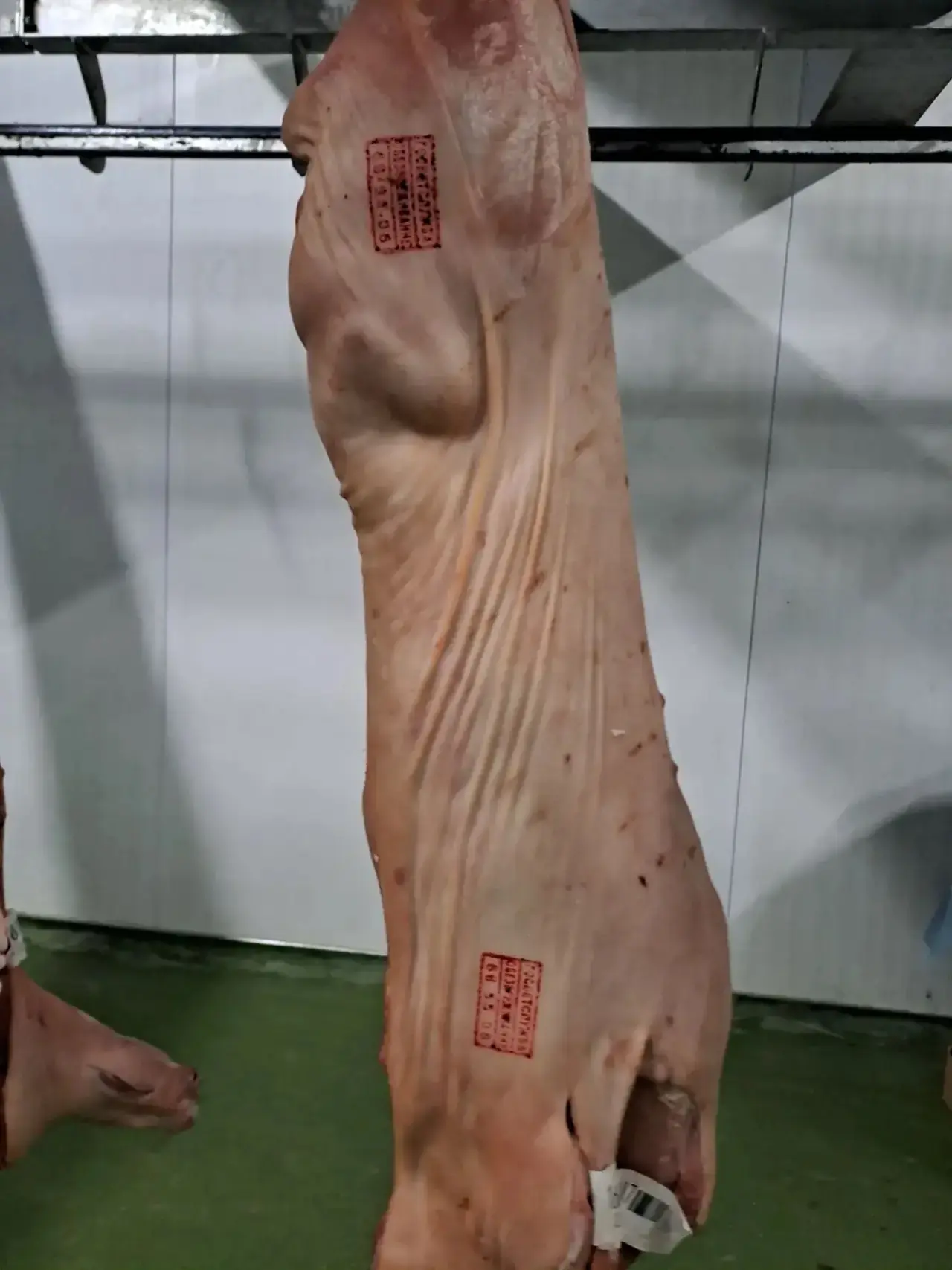 🥩Распределение туш ветеринарного брака с учетом данных вет.сан.экспертизы и лабораторн...