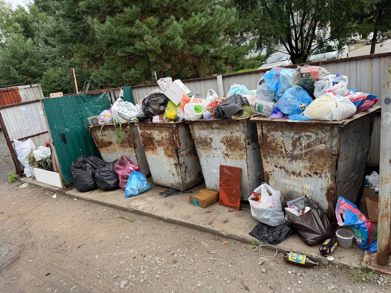 🤯Мусорный коллапс на контейнерных площадках Тополево! За выходные на них выросли терри...