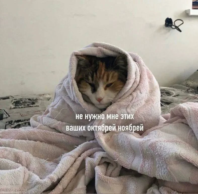🍂День осеннего одиночества отмечается сегодня