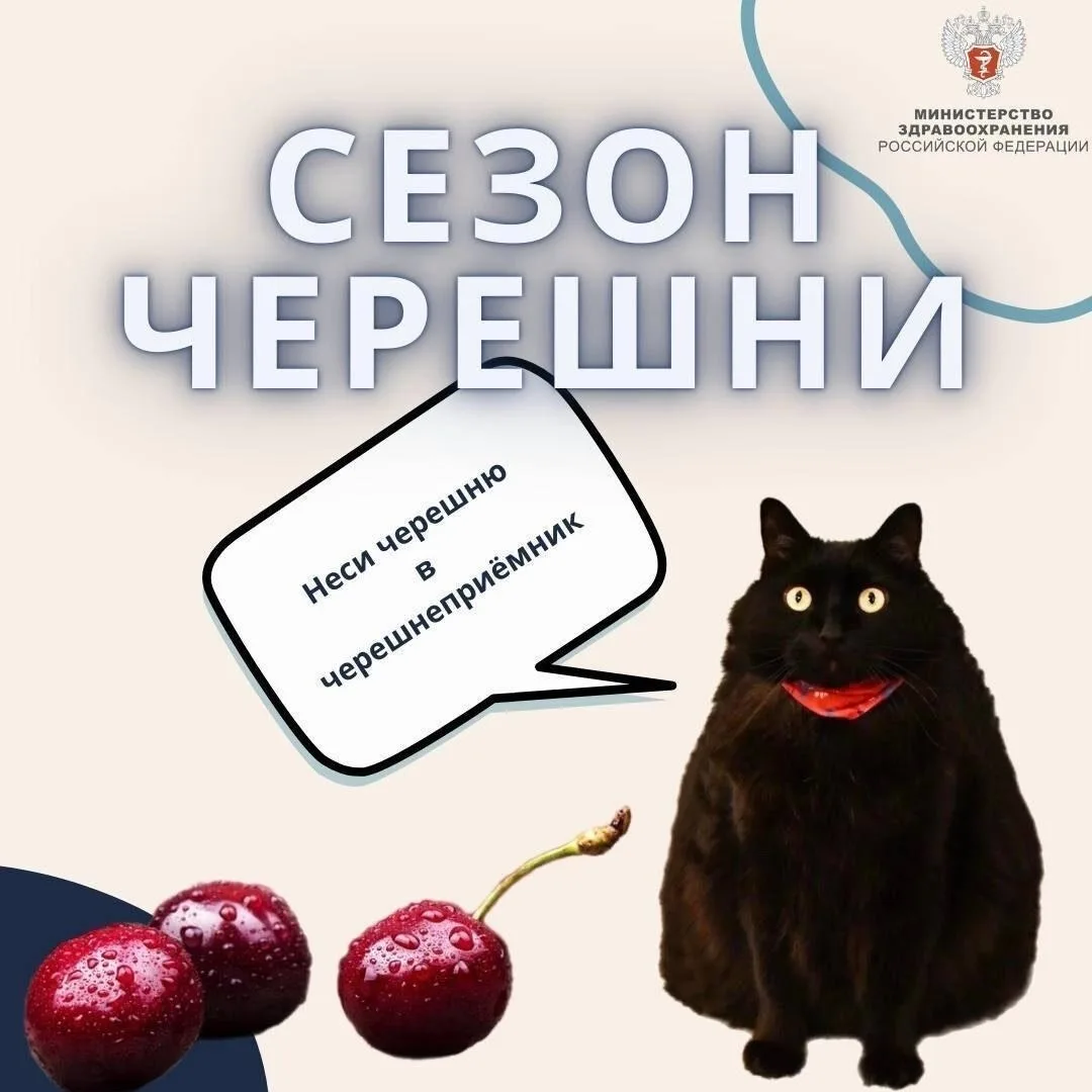 🧐Вопрос, который мы все задаем себе каждое лето: можно ли съесть слишком много черешни?

🍒 Ждали с