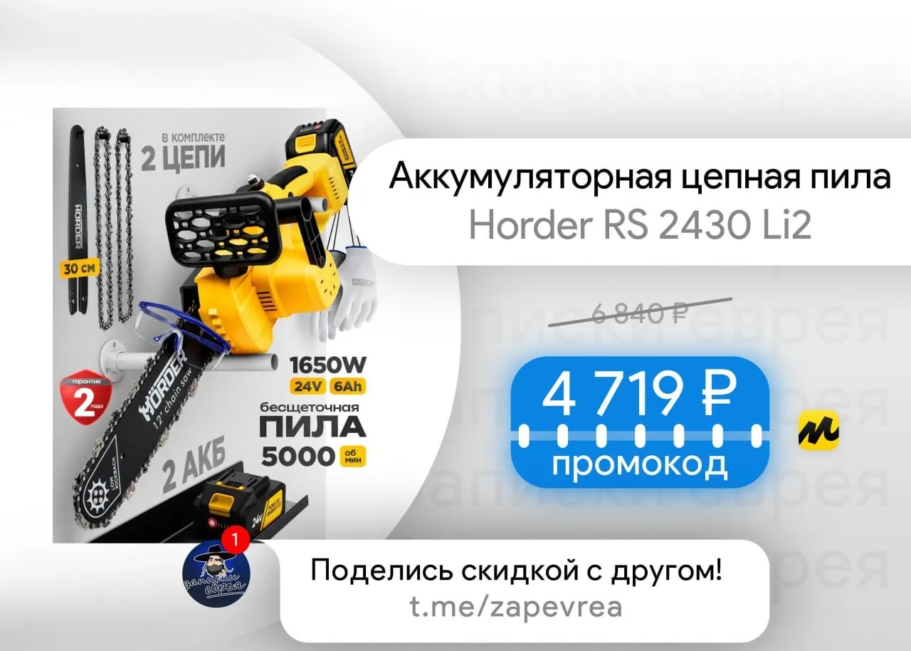 Аккумуляторная цепная пила Horder RS 2430 Li2