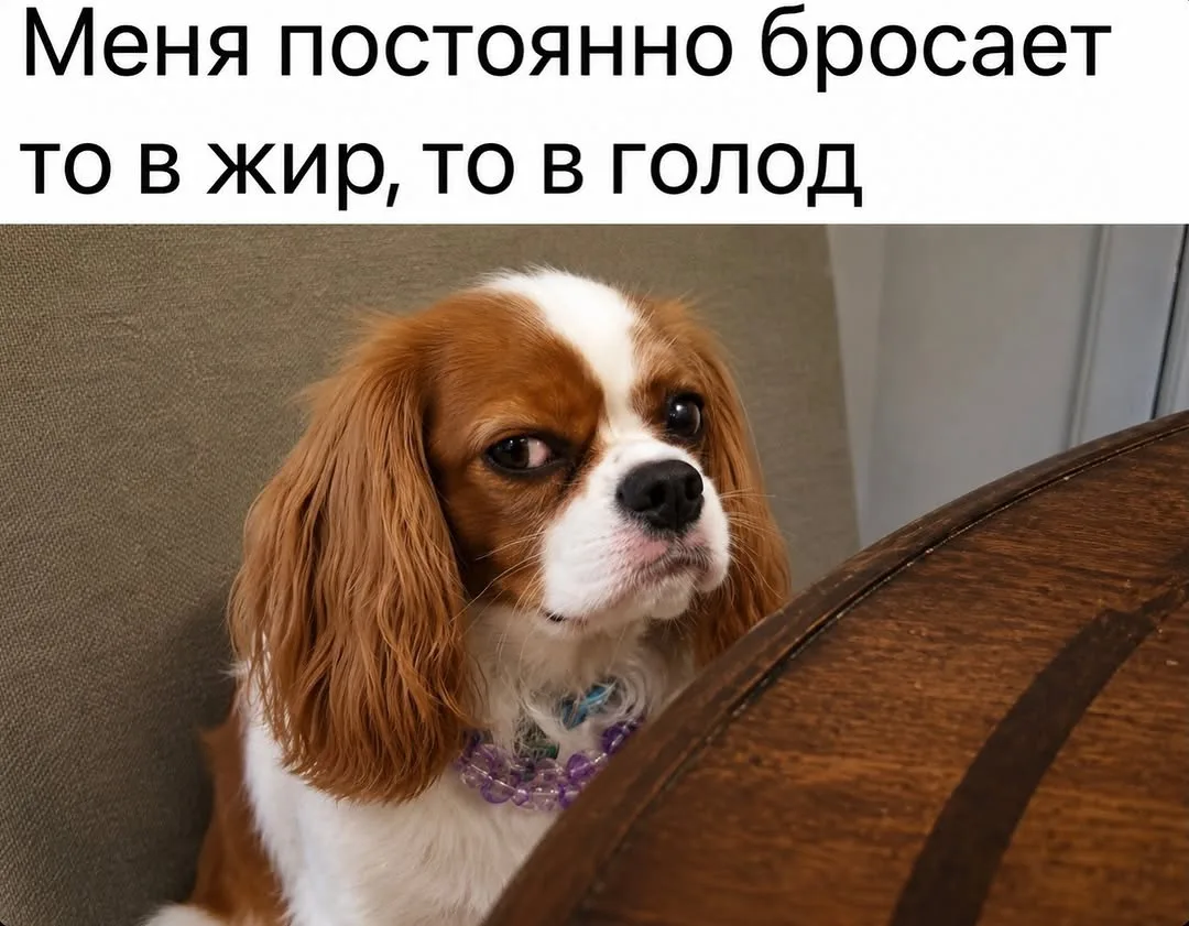 😆 #юмор 

Шедевры кулинарии | Подписаться
