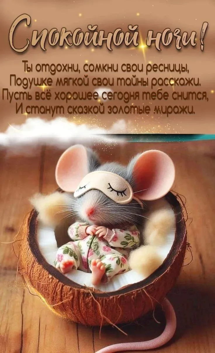 https://max.ru/channel_cled_01