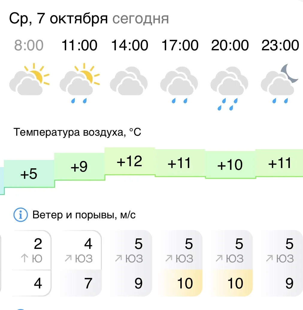 Сегодня, 7 октября, осень напомнит о себе дождём и ветром. Днём воздух прогреется приме...