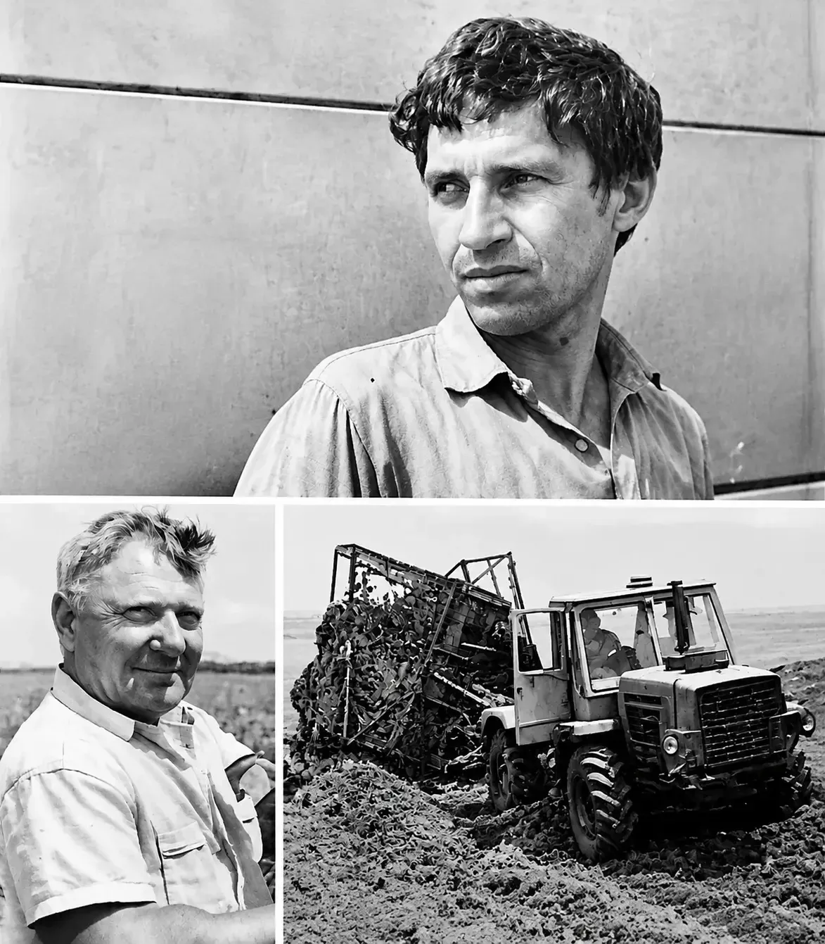 🌽Старые фотографии иногда рассказывают больше, чем десятки строк. На этих кадрах — буд...
