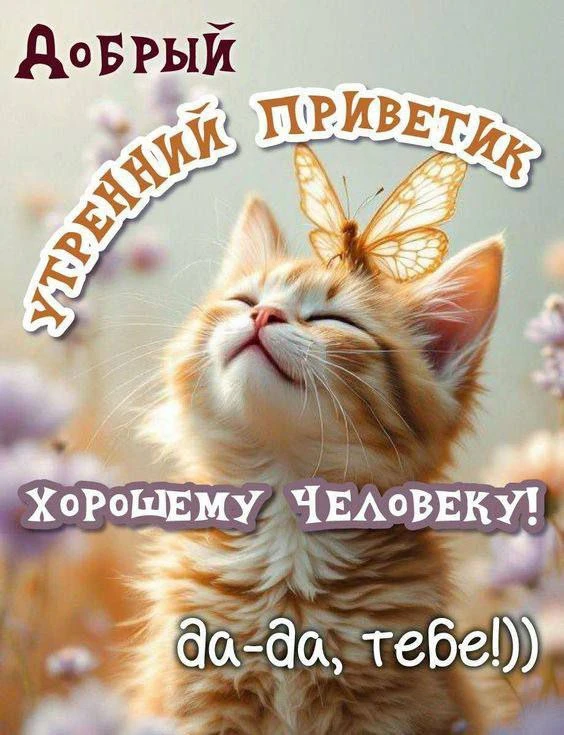 👋💖⭐️🎀🎉✨