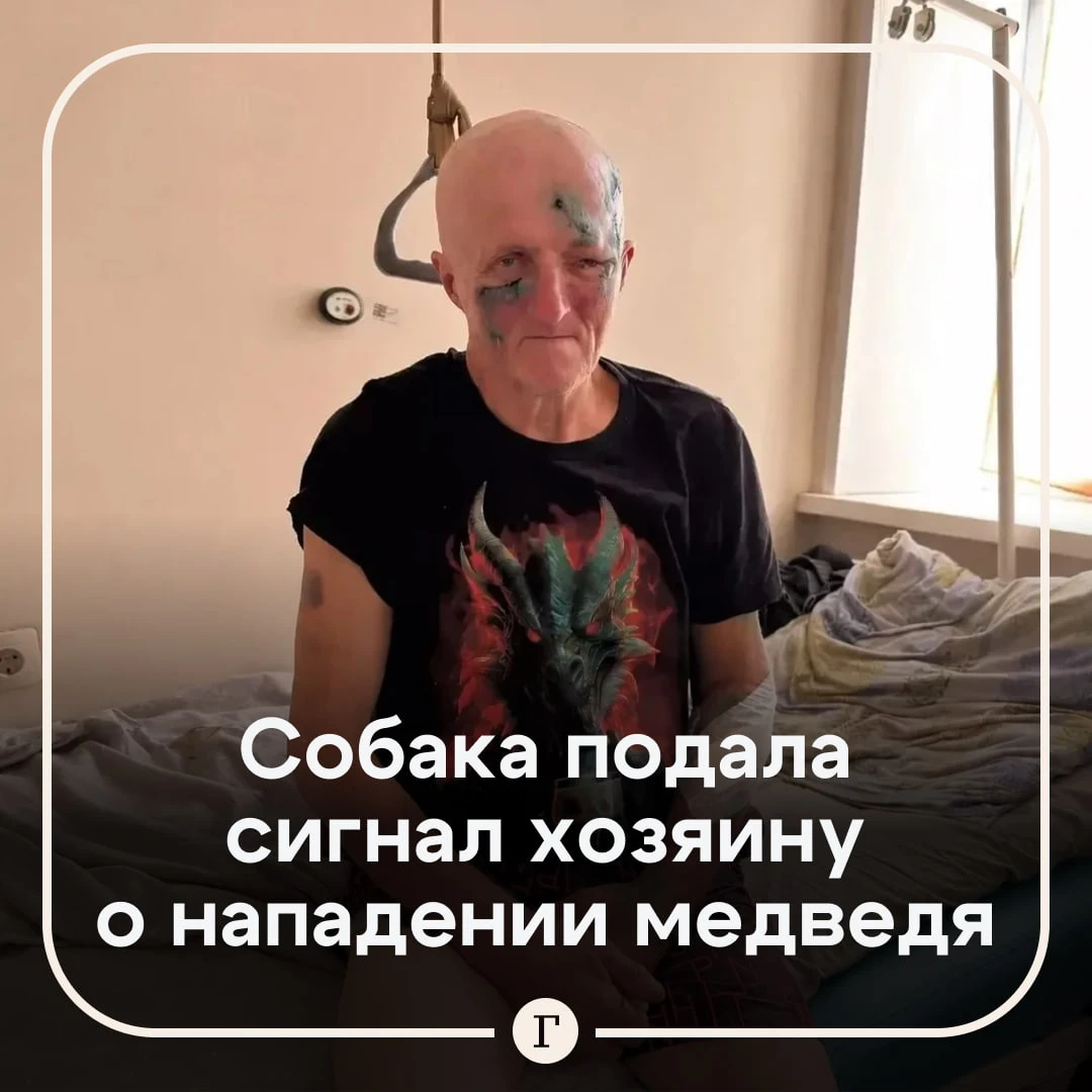 «Вспорола пах»: рыбак поборолся с медведицей, а затем собрал свой улов и отправился домой.