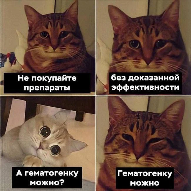 Дайте рыбов!
