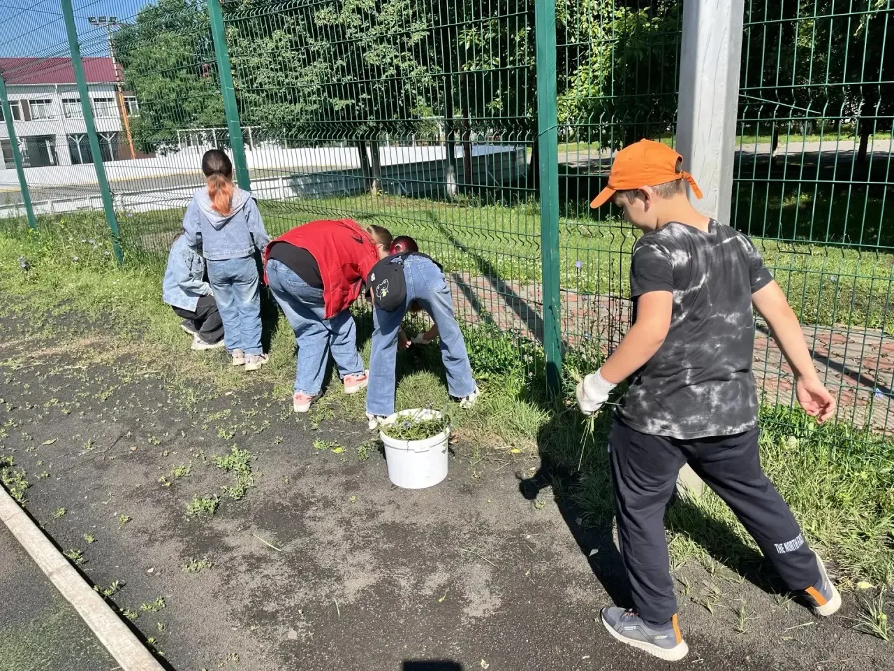 Работа на пришкольном участке