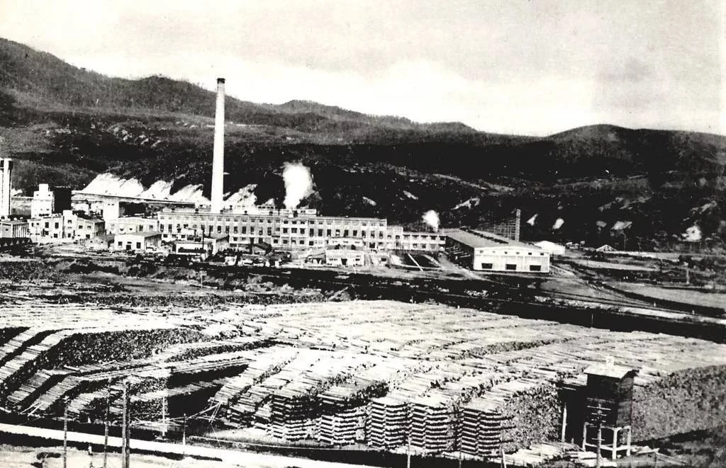 Бумзавод ОДЗИ в Серитору (Макарове) построят в 1923 и он станет частью бумажного века Сахалина. Снаб
