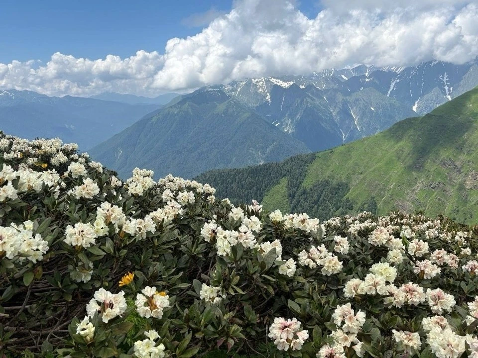 Бзерпинский карниз –очень красивый маршрут