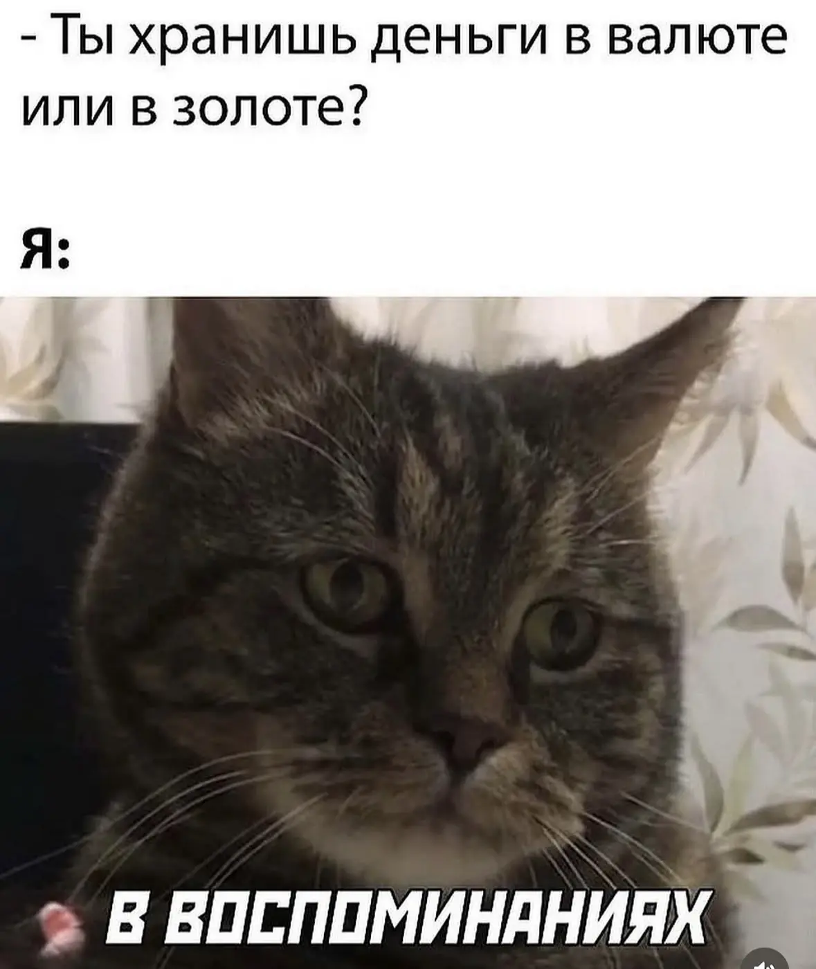 Грустно, но правда🥲