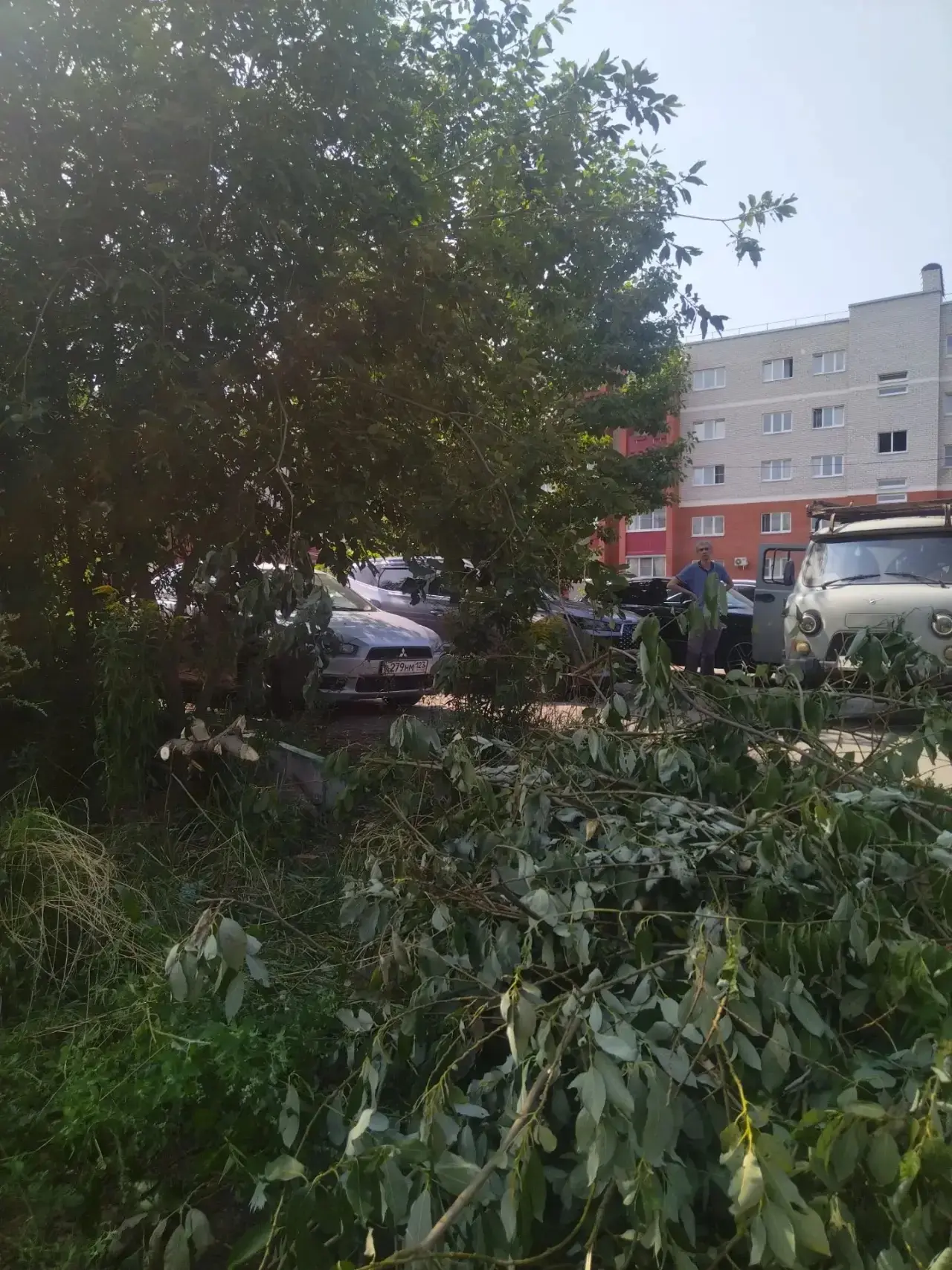 Новоселов 2 к 3 уборка срубленных порослей и веток