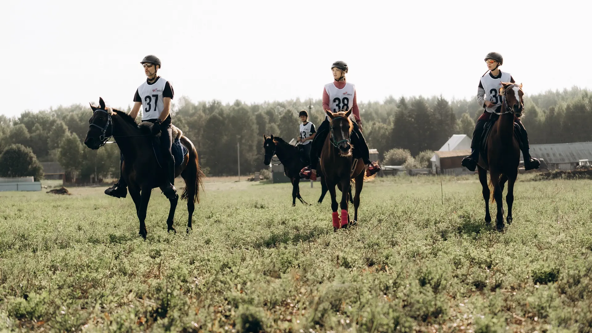 В Арске пройдет масштабный конно-спортивный фестиваль «День коня»🐎

Это не просто скачки, а настоящ
