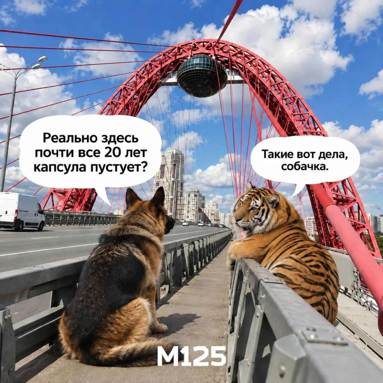 Такие вот дела, собачка 😅