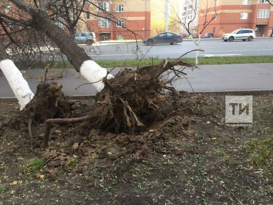 😱Шквалистый ветер в Татарстане сорвал крыши домов и повалил деревья

По данным ГУ МЧС России по РТ,