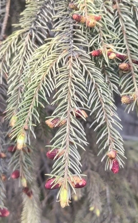 А вы заметили, как преобразовалась природа за окном? 🌿