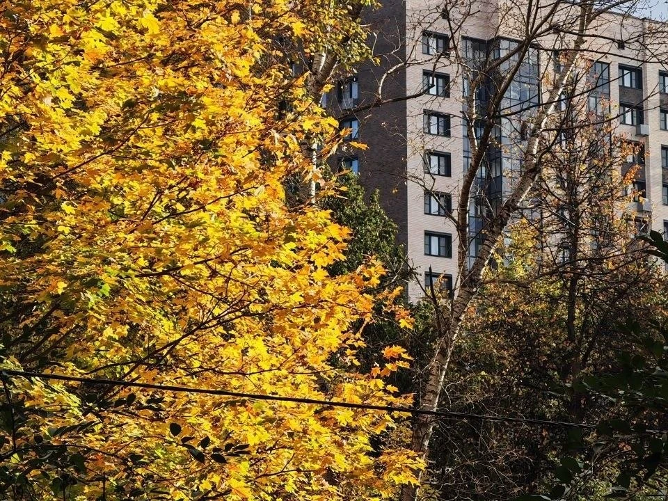 📸 Живописная фотография Дегунино