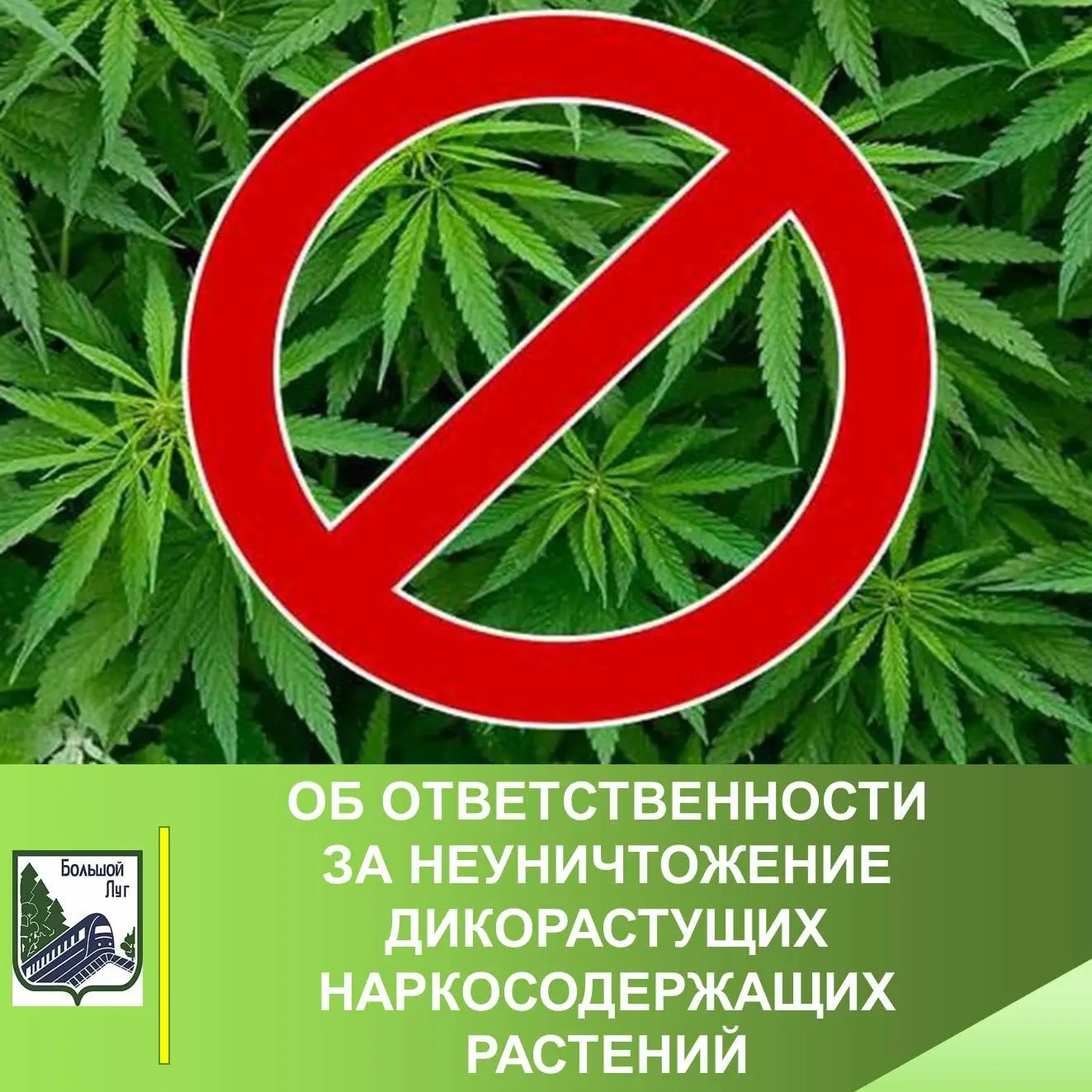 🛑Уважаемые жители Большелугского муниципального образования!
 
Администрация информирует об ответст