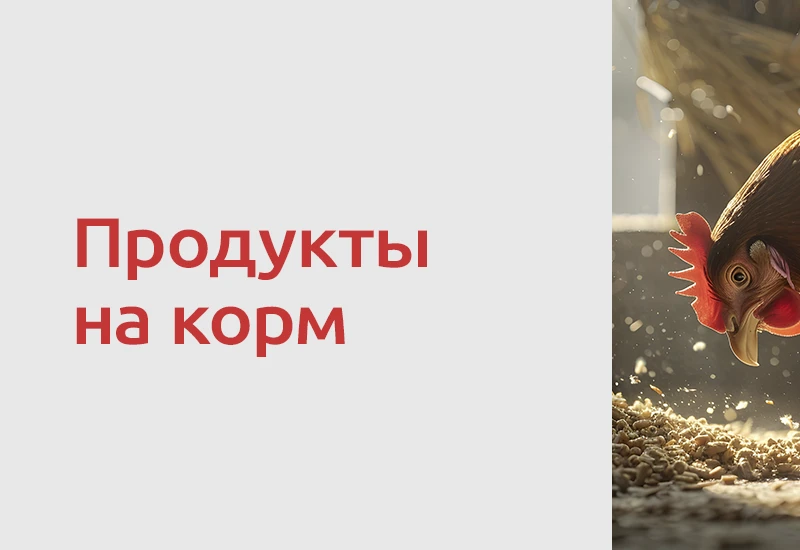 🐄 С 1 сентября 2026 года использовать некачественные пищевые продукты в качестве корма...
