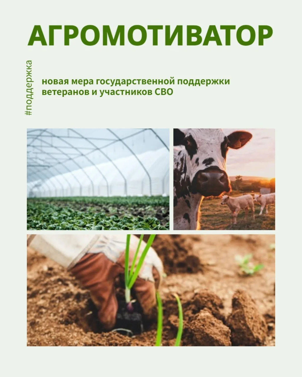 Минсельхоз Республики Адыгея информирует о том, что с 8 июля по 7 августа 2026 года вкл...