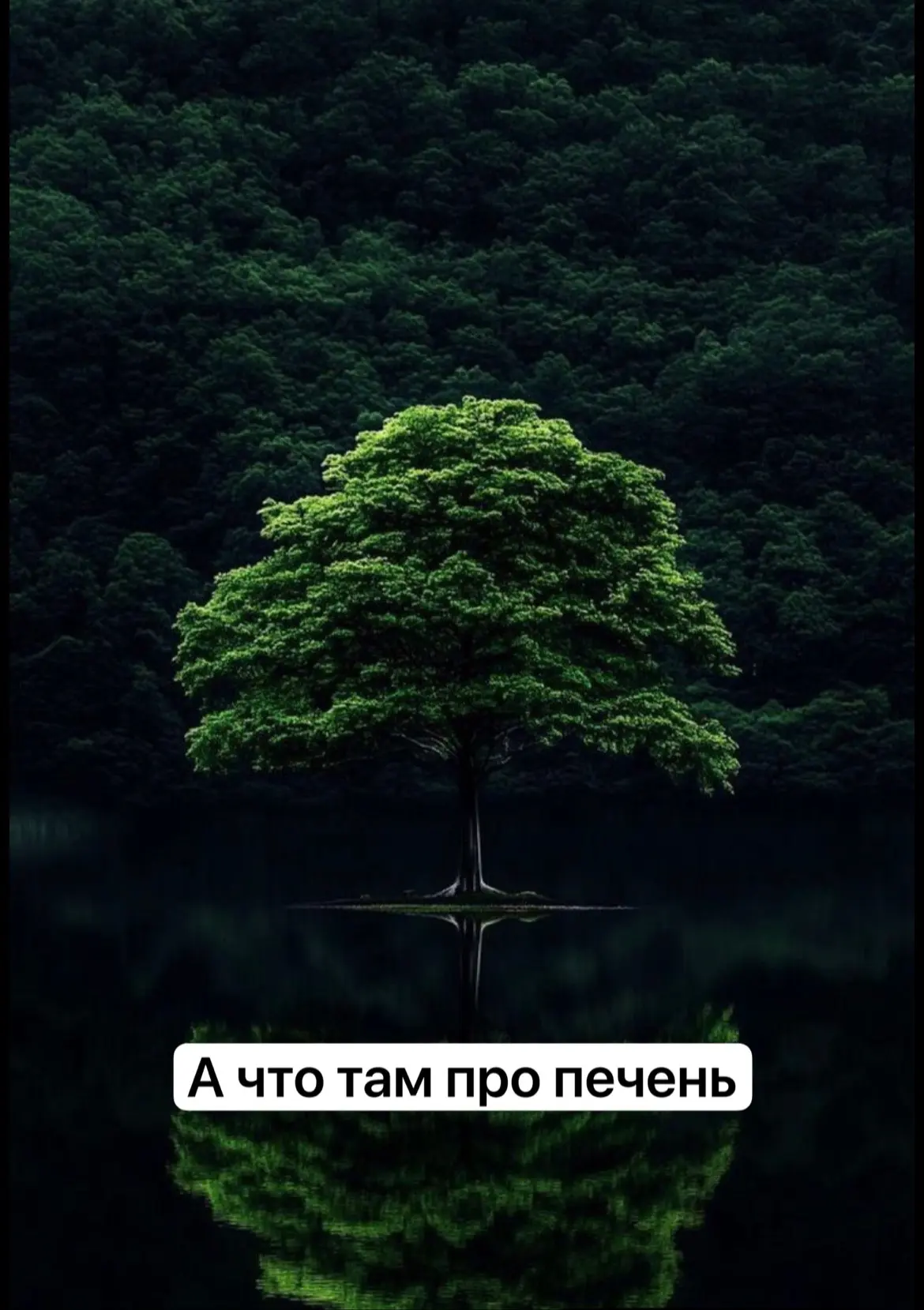 Доброе утро  и мы продолжаем!