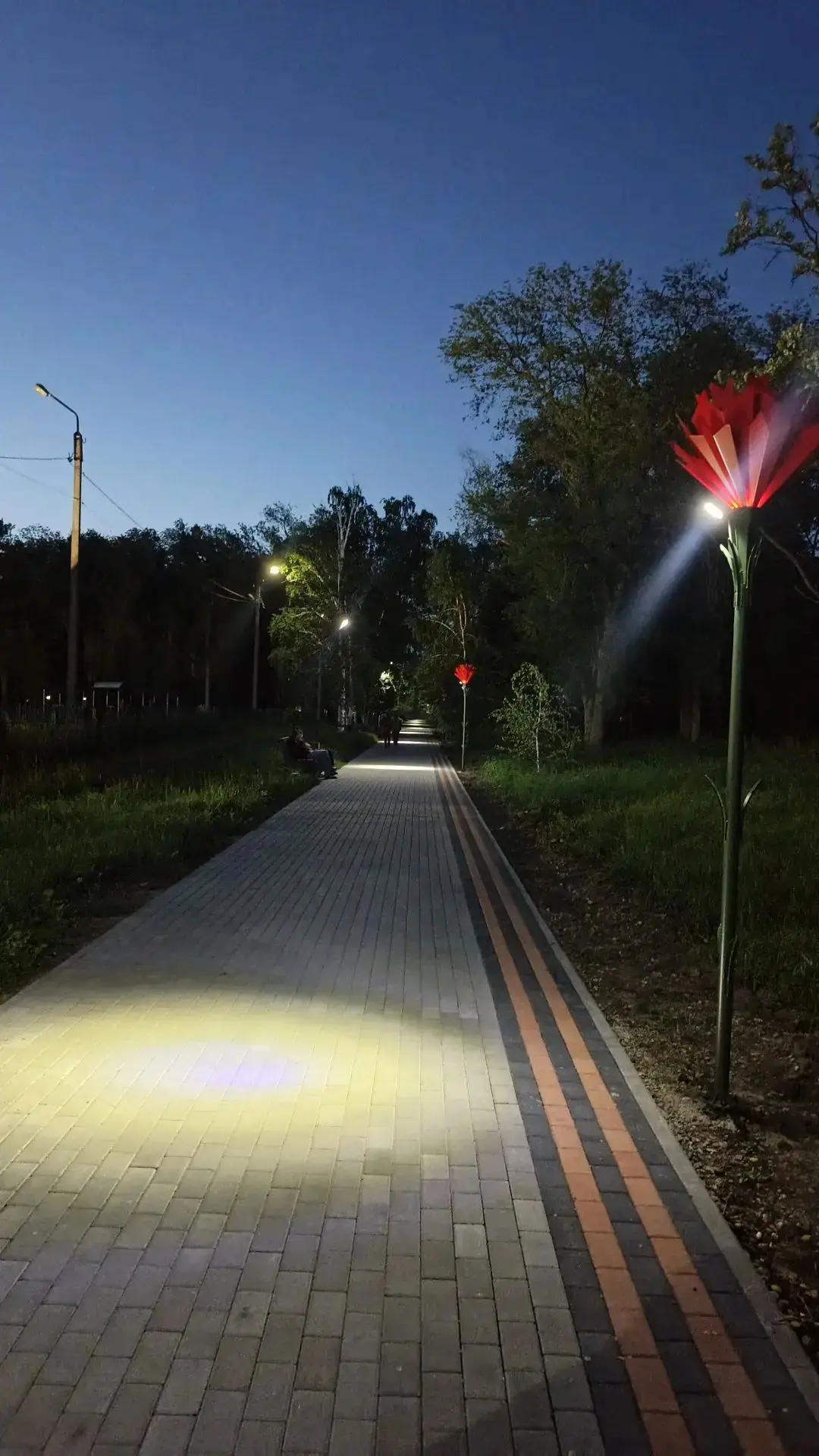 В Труновском округе завершились работы по созданию Аллеи Памяти

Этот значимый проект удалось реализ