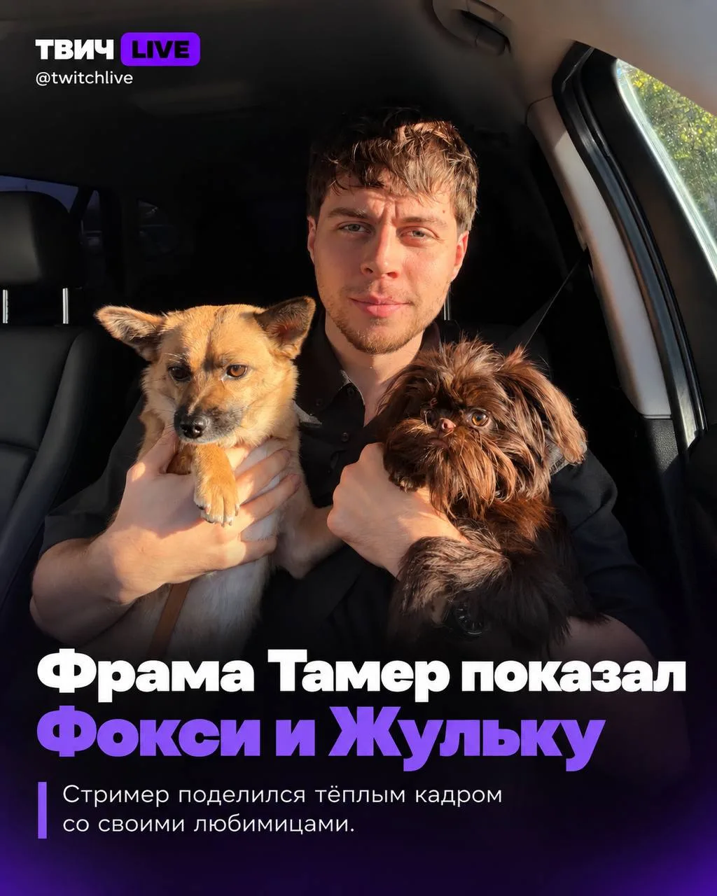 Фрама Тамер с Фокси и Жулькой ☺️