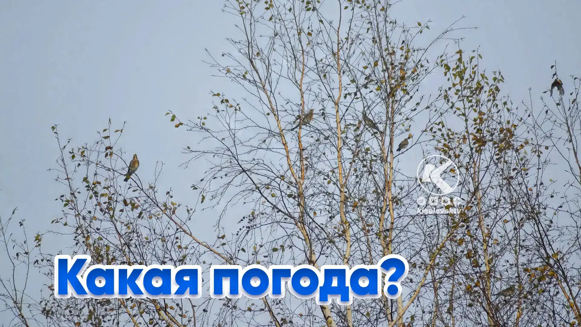 Внимание! Изменение погоды!