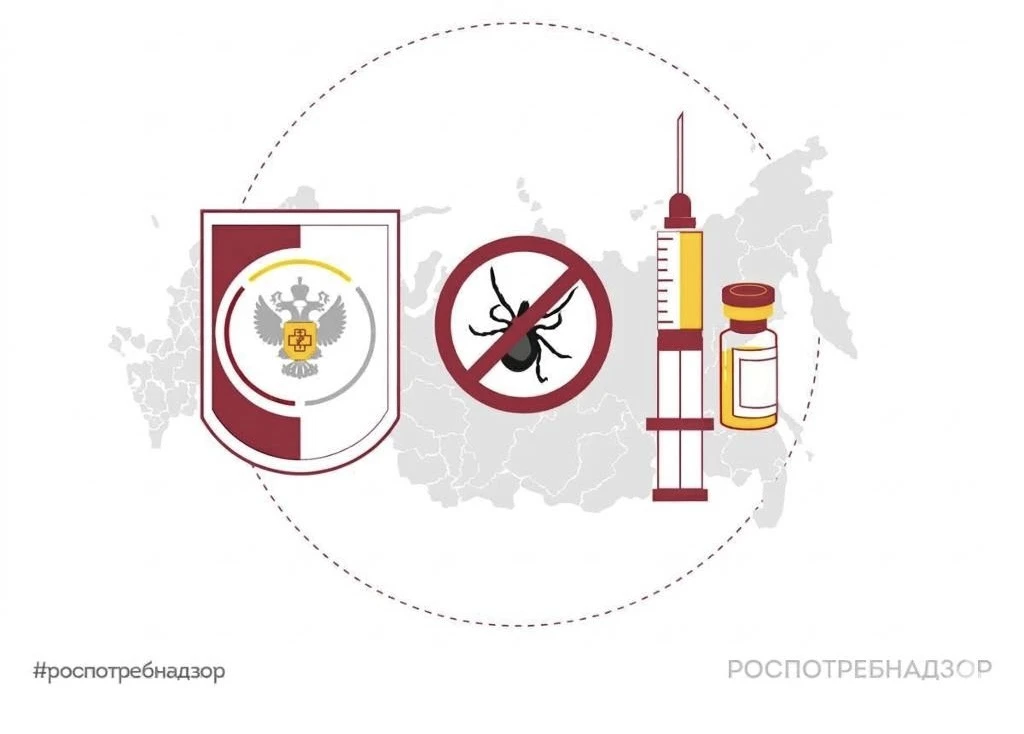 ℹ️ В связи с распространением в СМИ некорректного термина «наноклещи» Роспотребнадзор и...
