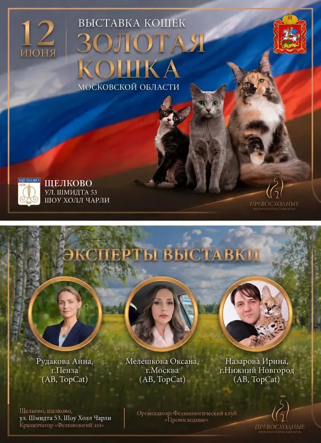 Международный фестиваль «ЗОЛОТАЯ КОШКА» – 12 июня в Щёлково

В День России в городском округе Щёлков