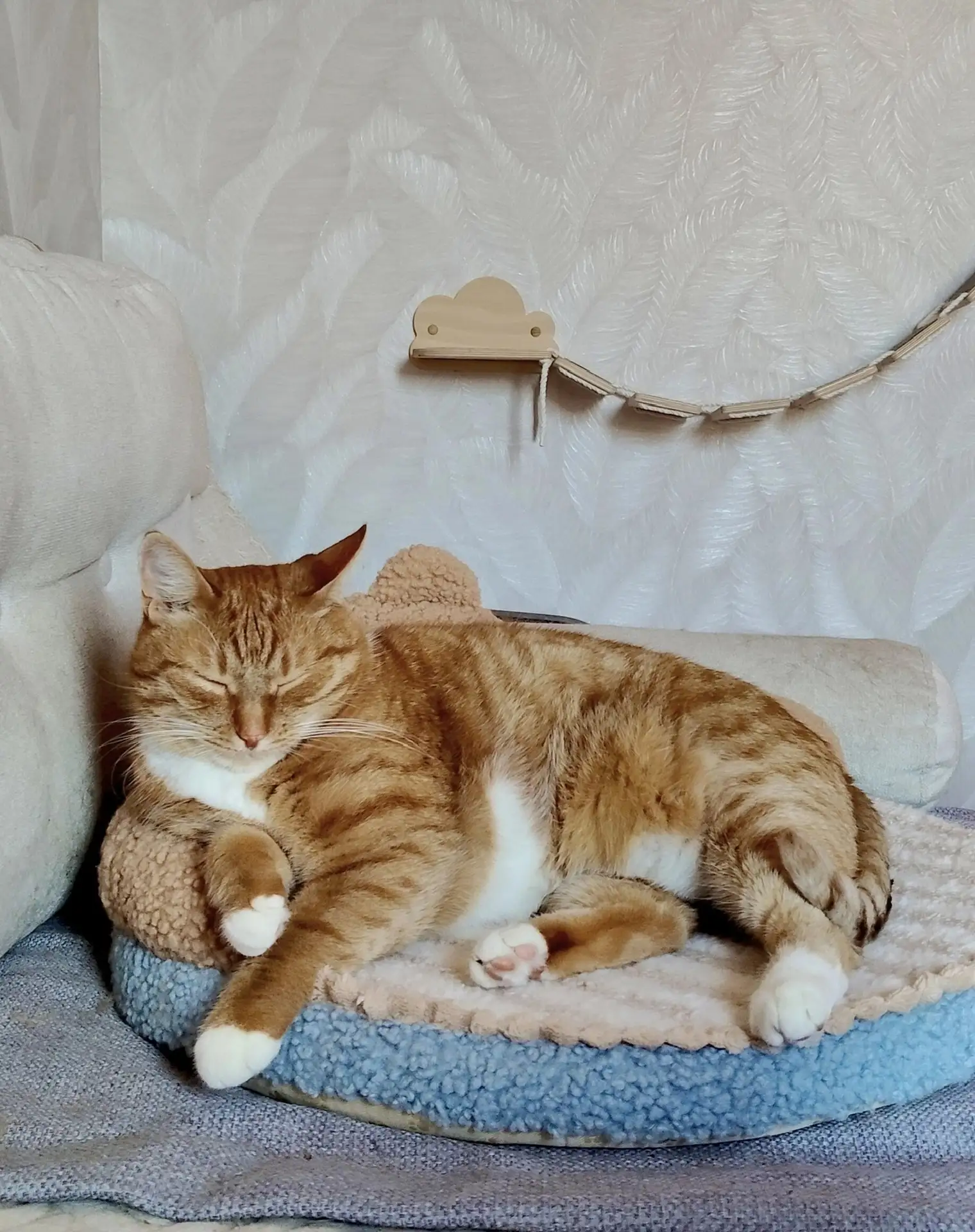 #советы_домашнего_кота🐈

Совет: Если вам хорошо — не ищите причину. Просто оставайтесь в этом состо