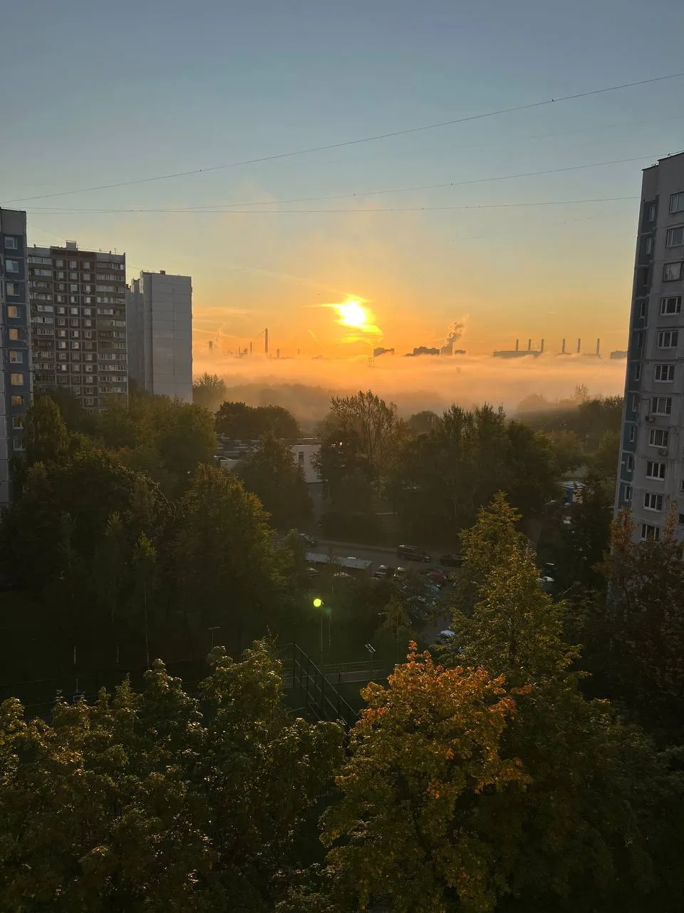 Красивый туман над поймой Братеево несколько дней назад