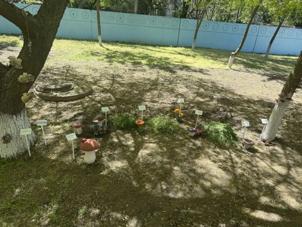 Экологическое воспитание в действии  В Новобогдановском детском саду активно развивается экологическ
