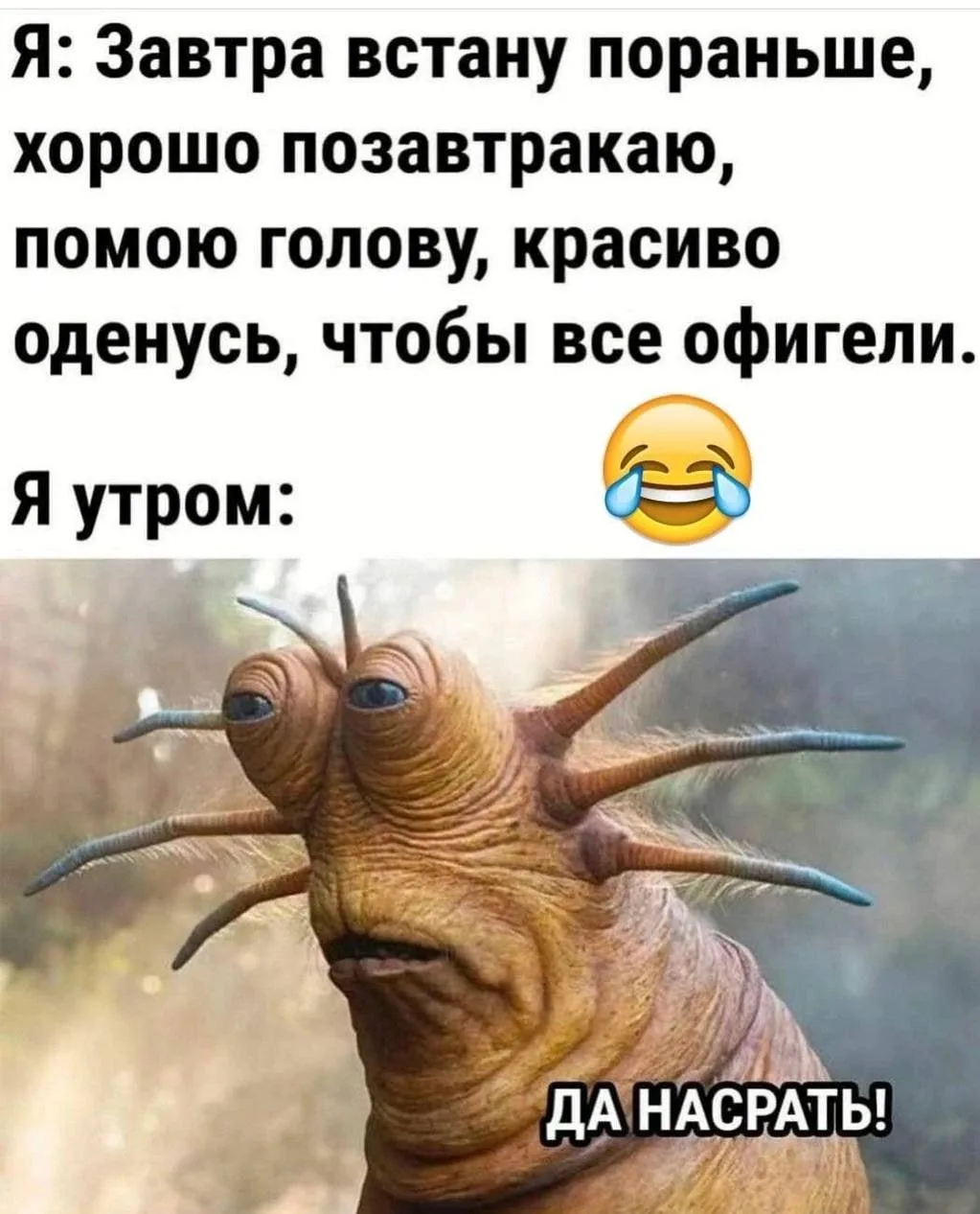 Юмор - Подписаться