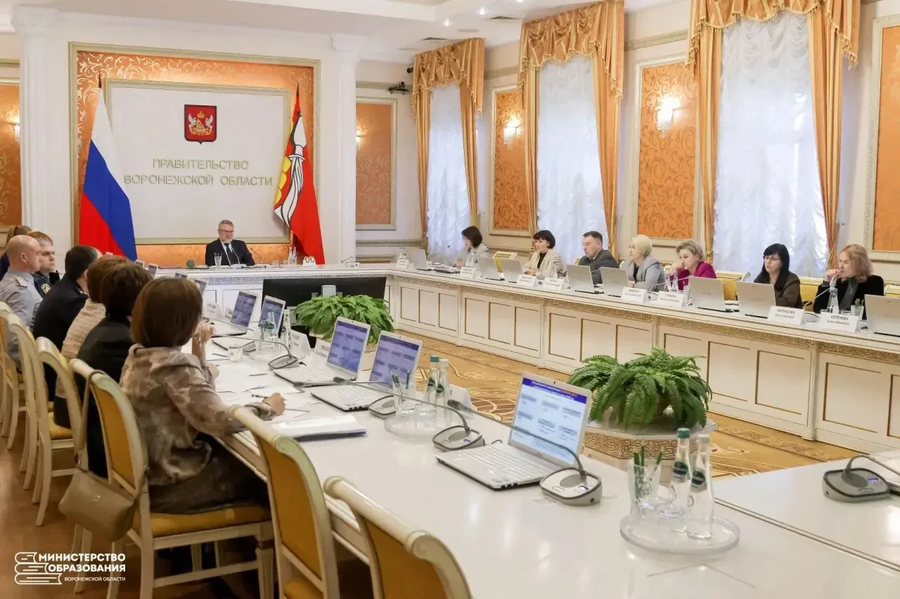Приняла участие в важном заседании комиссии по делам несовершеннолетних и защите их прав Правительст