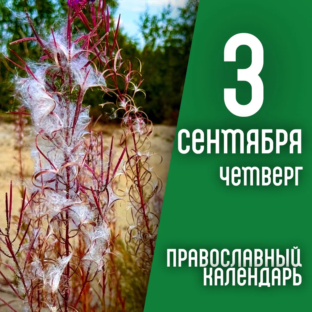 Календарь дня