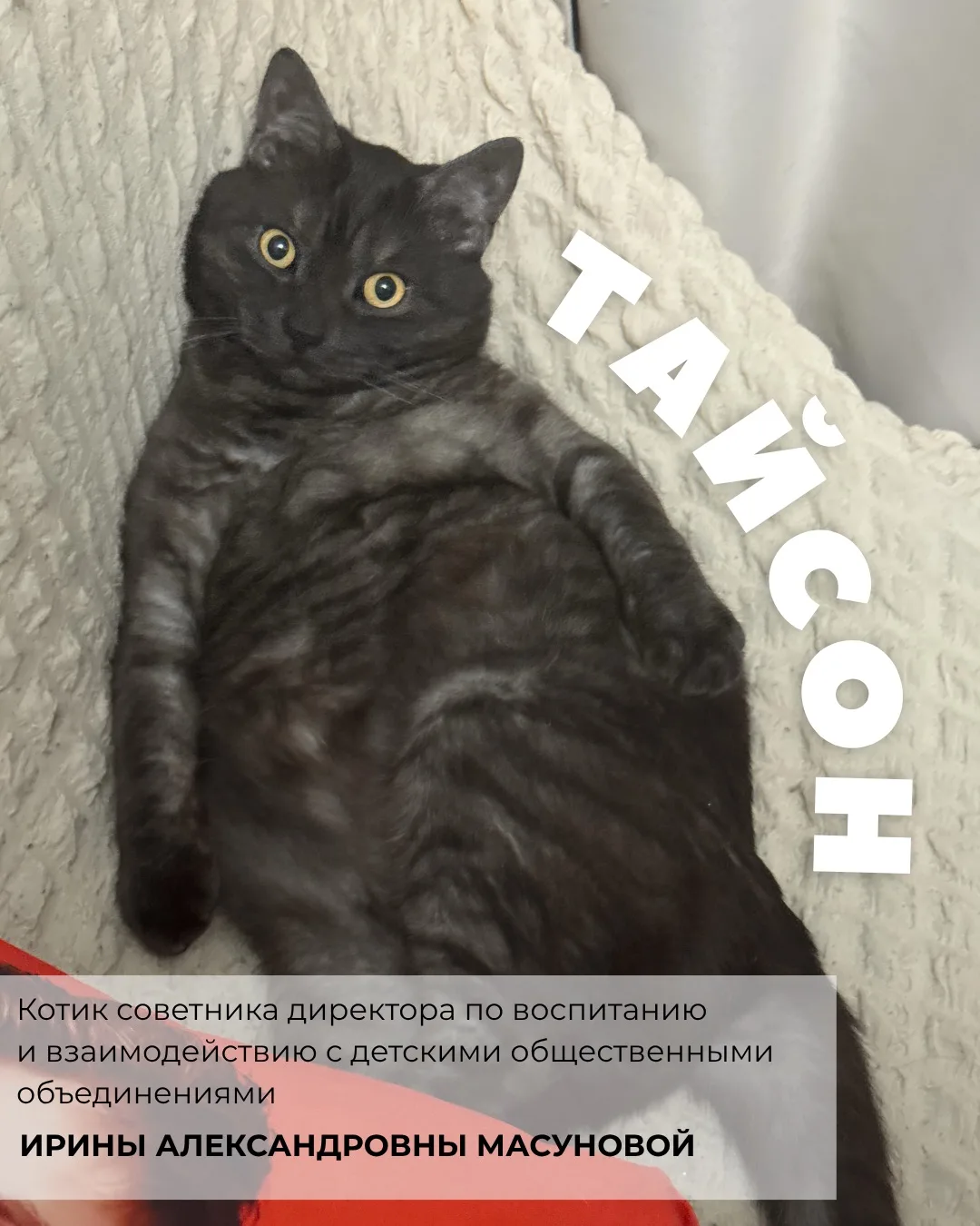 Изображение 6 к публикации «Бауманская инженерная школа №1580»