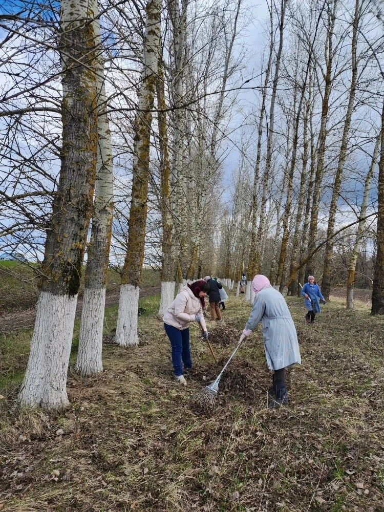 🌳Сегодня сотрудники детского сада привели в порядок закрепленную за ними территорию по...