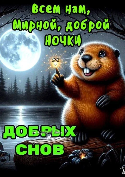 Открытки и приколы 🌸