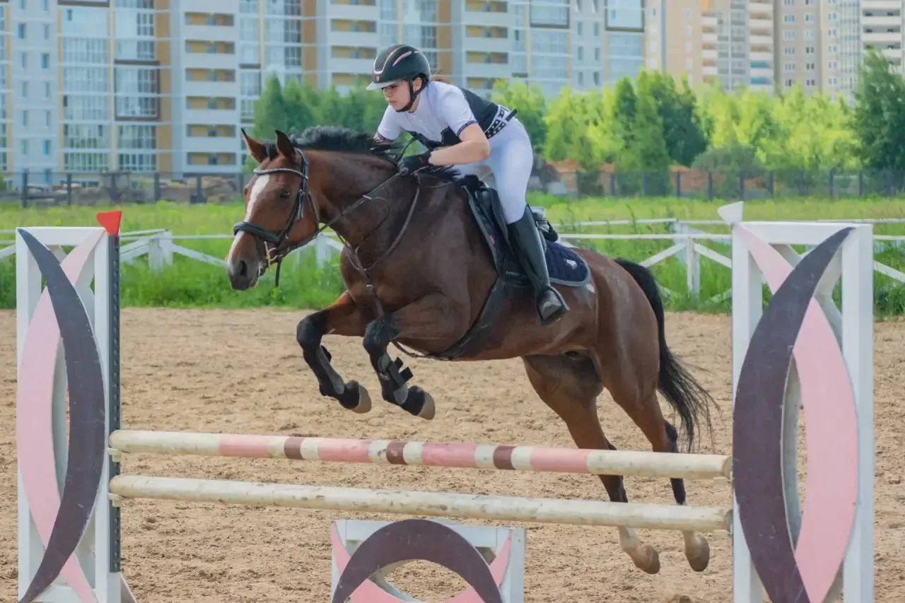 🏇️ Открыта запись на индивидуальные занятия в спортивной школе по конному спорту — июль 2026! 🐎

М