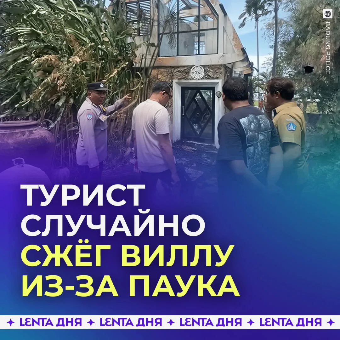 🕷 Турист попытался прогнать паука с виллы и случайно её сжёг.