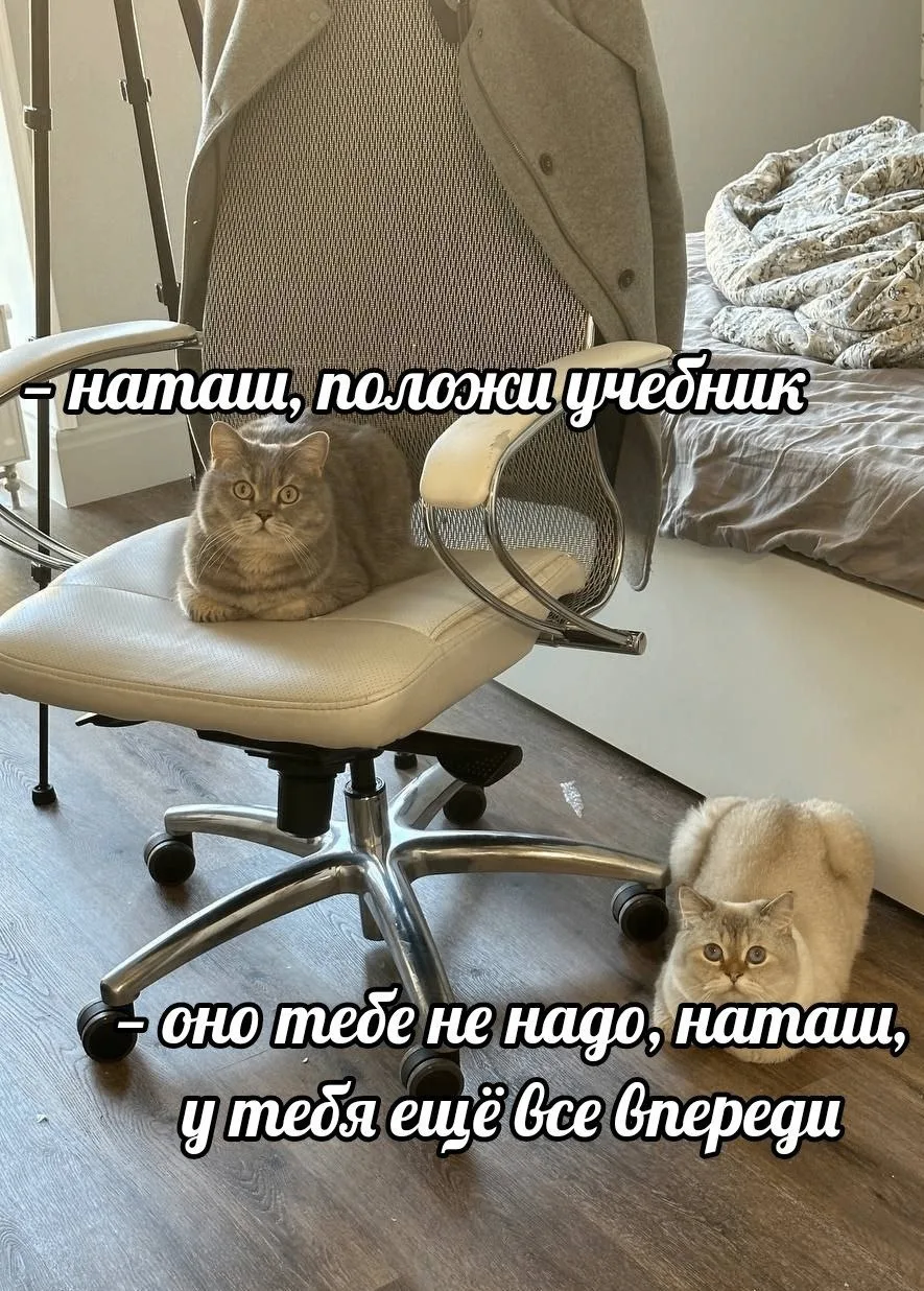 отчислено