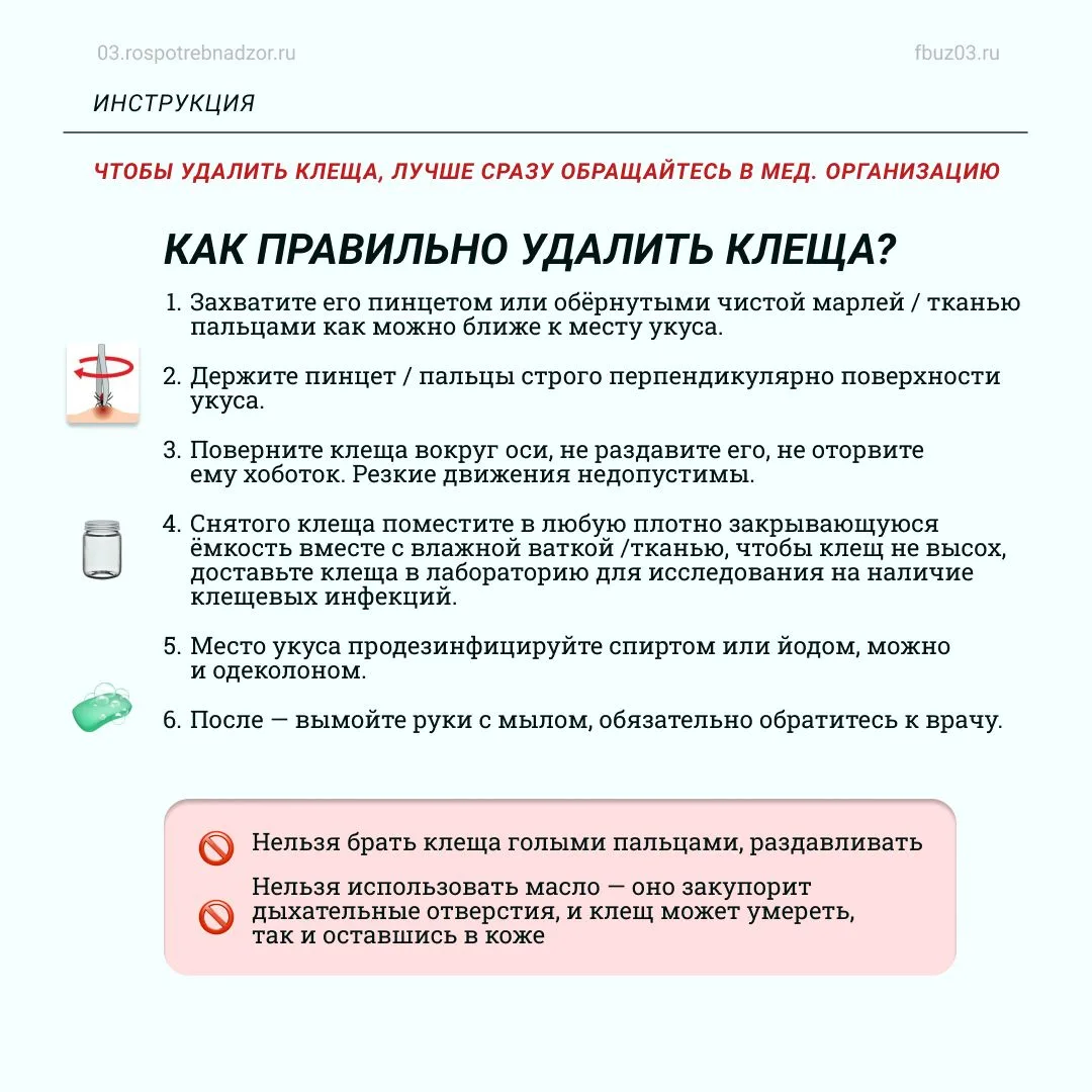 Если присосался клещ: инструкция по удалению 🕷

Если укуса клеща избежать не удалось, первое правил