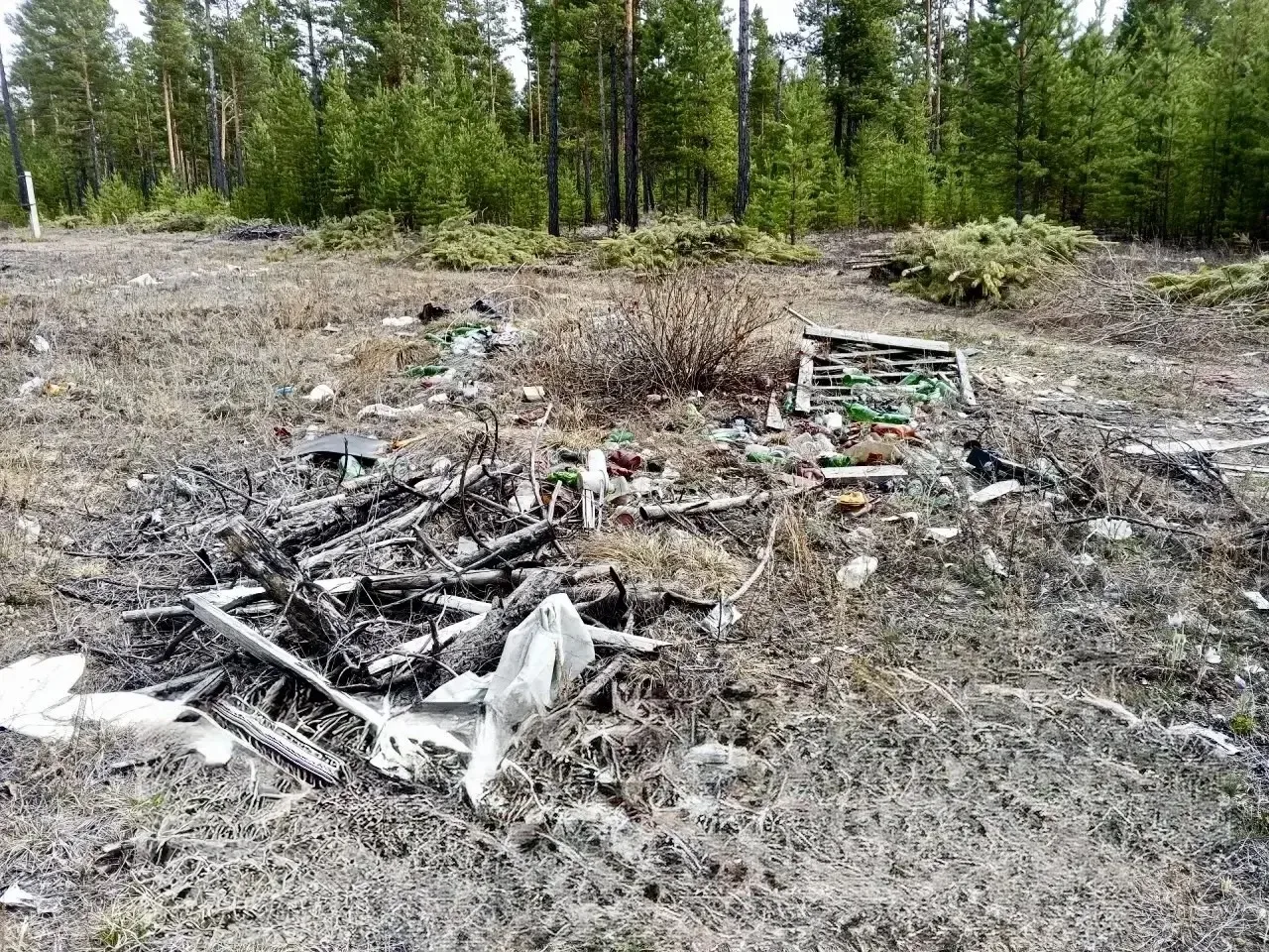 В Заиграевском районе ликвидирована многолетняя свалка

Из леса вывезли 400 «кубов» мусора

На терри