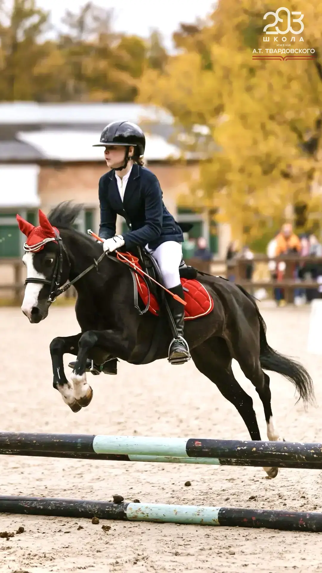 Эквестрианство 🏇  ✨Уж что-что, а в нашей школе талантливых ребят хоть отбавляй! Встречайте, сегодня 