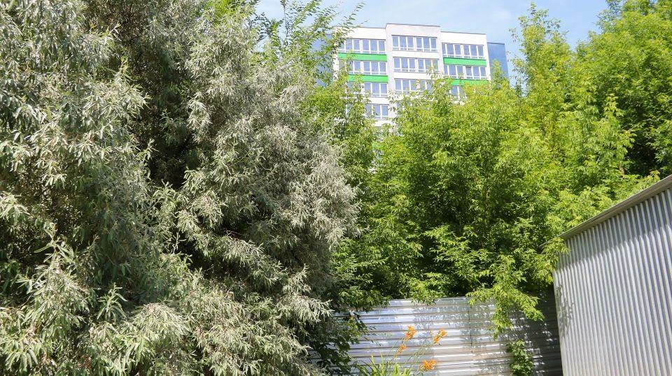 🏗 В Барнауле продают участок-долгострой с проектом новой многоэтажки на Потоке